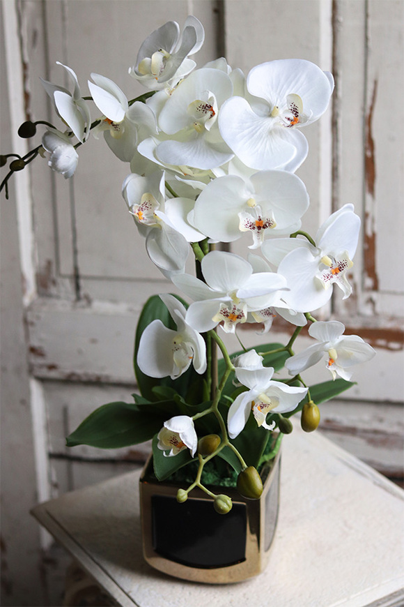 Gold Terra, elegancki storczyk w ceramicznej donicy, wys.54cm