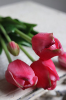 April New, bukiet tulipanów silikonowych Różowy