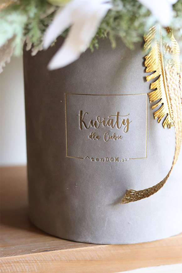 Frozen Time, flowerbox świąteczny