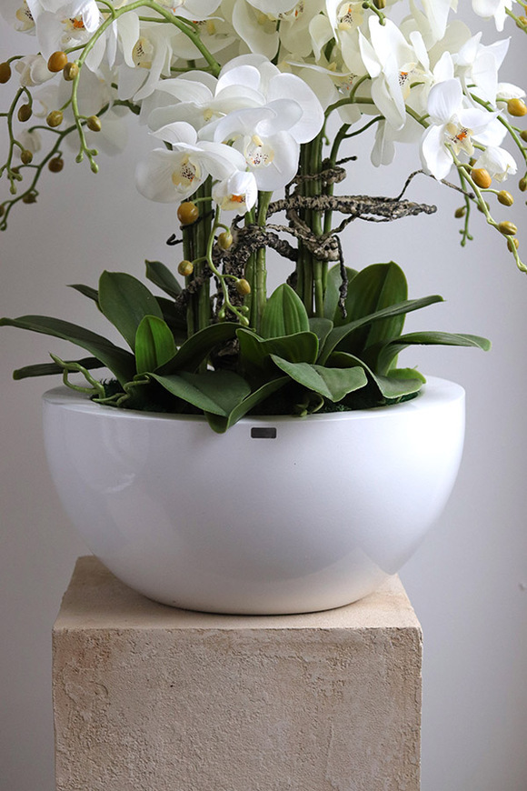 Fiberglass White Bowl, sztuczny storczyk w białej donicy