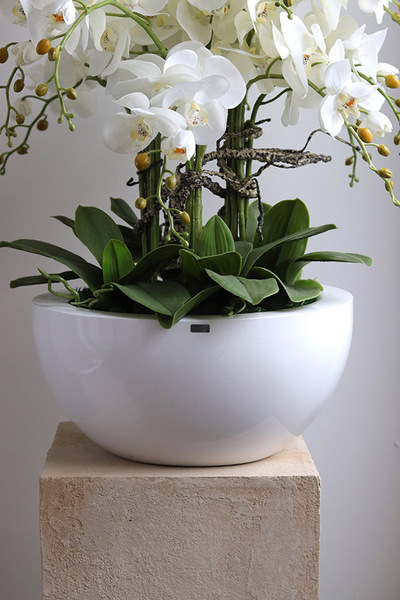 Fiberglass White Bowl, sztuczny storczyk w białej donicy