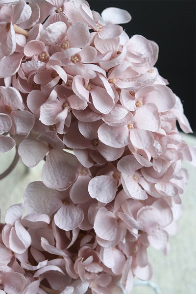 Leossi Pudrovy, dekoracyjny wianek z hortensji