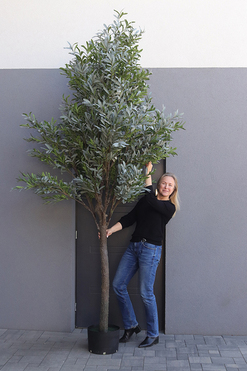 Oliwka Premium XXL, sztuczna roślina drzewko oliwne, wys.320cm 