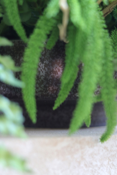 Zającówna, stroik wielkanocny z zajączkiem