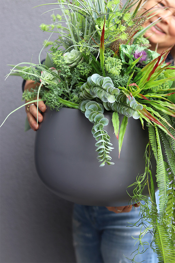 Walter Maestria, kompozycja z sukulentami w donicy fiberglass