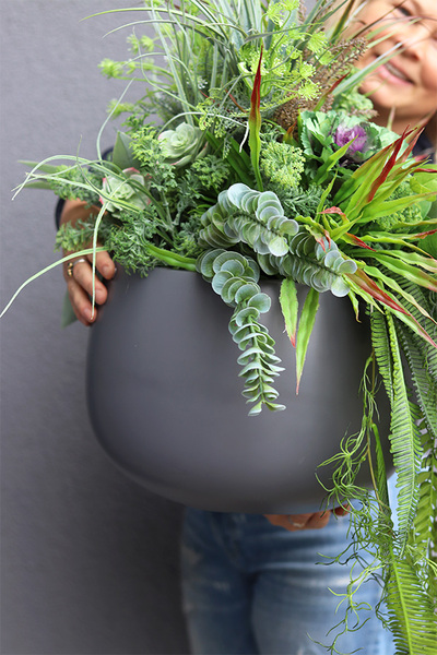 Walter Maestria, kompozycja z sukulentami w donicy fiberglass