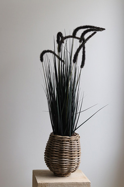 OD RĘKI Calladio, trawy z czarnymi kłosami w koszu, wys.85cm