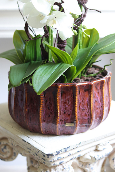 Allenta, sztuczny storczyk w ceramicznej osłonce