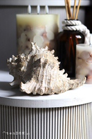 Marine, figurka dekoracyjna, muszla	