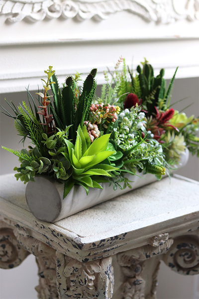 kompozycja sukulenty w długiej donicy, Hektor D, dł.48cm