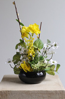 Mireni, wiosenna kompozycja w misie