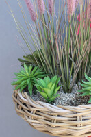 Rattania Alabama, kompozycja z traw i sukulentów w koszu