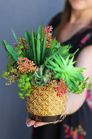 Miodowa, kompozycja sukulenty w donicy vintage, wys.25cm 