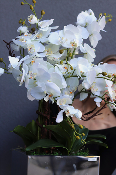 storczyk w stalowej donicy, Mirror Silver Cube