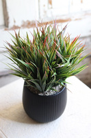 Gerute, sztuczna roślina w doniczce, wys.31cm