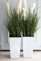 Dania, kompozycja z traw pampasowych w białej donicy, wys.145cm
