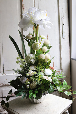 Amarylis Deo 2, kompozycja kwiatowa w srebrnej donicy, wys.65cm 