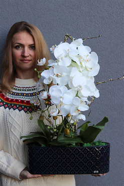 OD RĘKI Dark Blue Orient 2, wysokiej jakości sztuczny storczyk, wys.62cm 