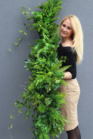 Jungle 2, girlanda z zielonych zwisających pędów, dł.100cm