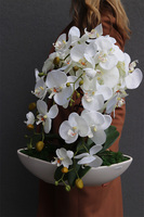 sztuczny storczyk, Laos New