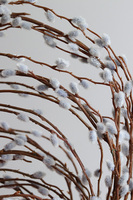 Spring Power, kompozycja wiosenna w naczyniu