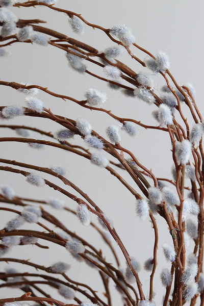 Spring Power, kompozycja wiosenna w naczyniu