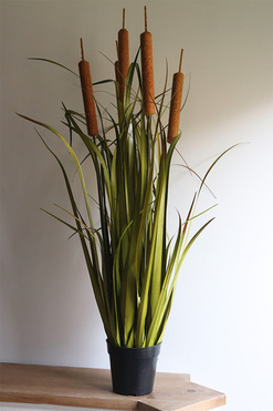 Rinis, sztuczna trawa z pałkami tatarak, wys.155cm 