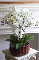 Allenta, sztuczny storczyk w ceramicznej osłonce