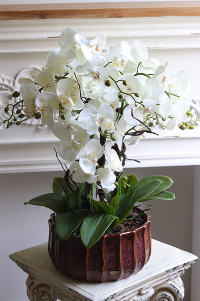 Allenta, sztuczny storczyk w ceramicznej osłonce