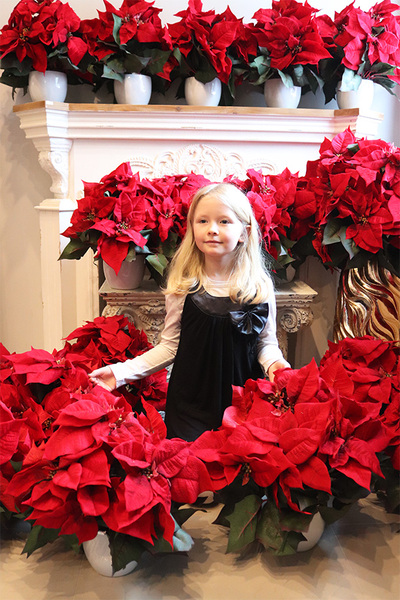 Gwiazda Betlejemska simple, wysokiej jakości sztuczna roślina