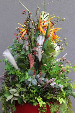 Feretia Modern Classico, kompozycja ze strelicją w czerwonej donicy, wys.135cm 