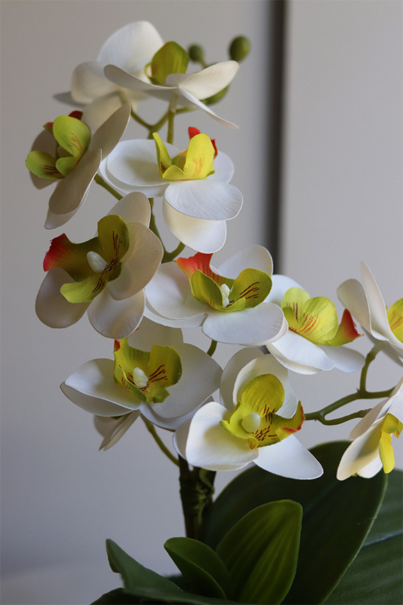 Mini Colors Concrete, sztuczny storczyk w niebieskiej donicy