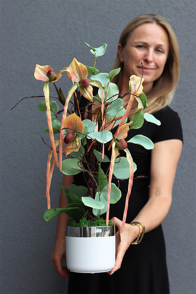 Orchidesa Moneti, egzotyczny storczyk z eukaliptusem, wys.63cm