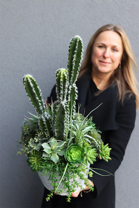 Cacti Saute A, sukulenty z kaktusem w stretchu, wys.70cm