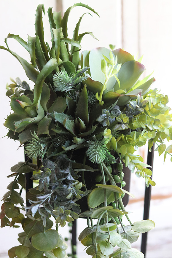 Cybilla, kompozycja sukulenty w donicy na stojaku, wys.69cm