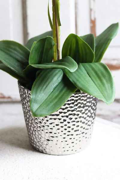 Granada Pudrowa Łuna, gumowy storczyk w srebrnej donicy, wys.65cm