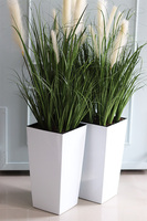 Dania, kompozycja z traw pampasowych w białej donicy, wys.145cm