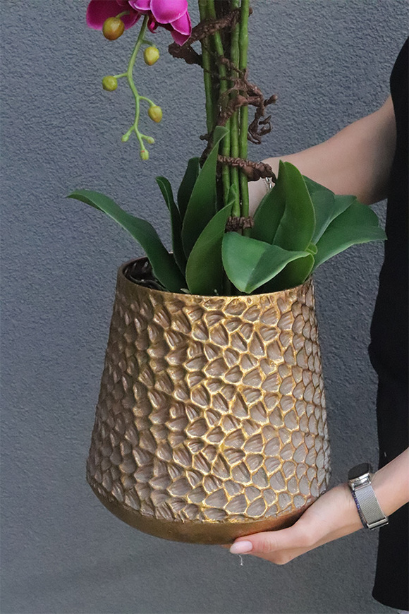 Fuksja Idessa, storczyk w złotej doniczce