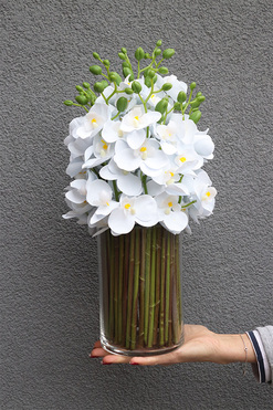 Glassier Hellissa, storczyki w szklanym wazonie, wys.50cm