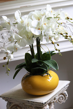 Słońce, sztuczny storczyk w żółtym naczyniu, wys.58cm