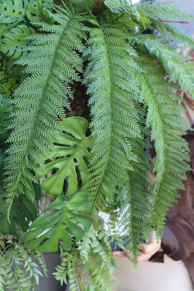 Lisbon Forest Sukulenty, czarna jednostronna rama