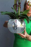 storczyk w mozaikowej kuli, Explosion Mirrors