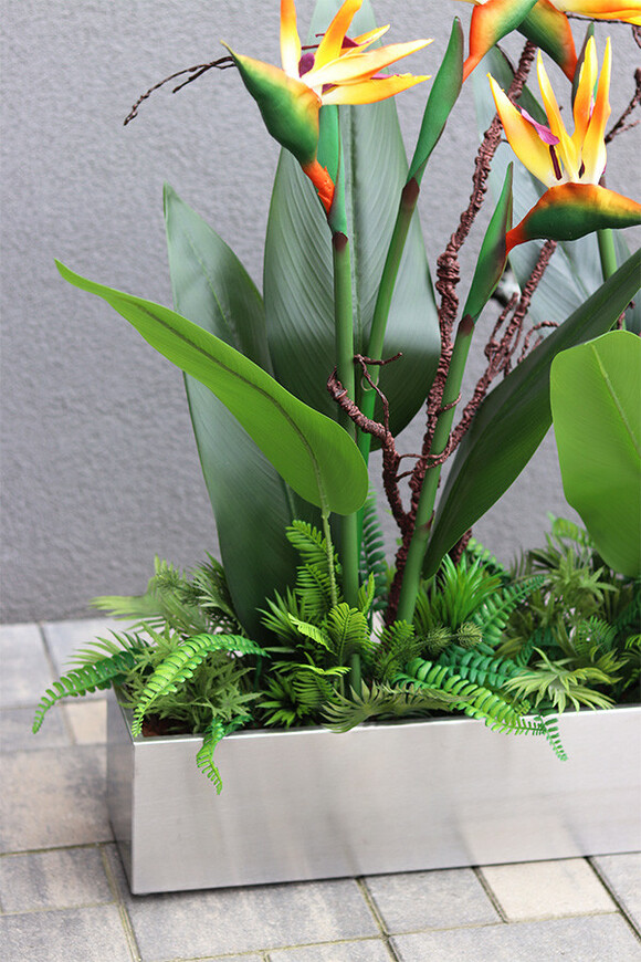 Silver Hilton Strelicja Long, egzotyczna dekoracja w stalowej donicy