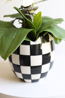 Szachownica, sztuczny storczyk w doniczce