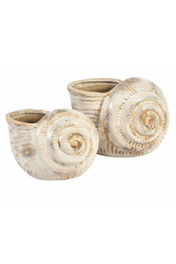 Piasek Pustyni, osłonka muszla A, wym.14.5x19x12.5cm