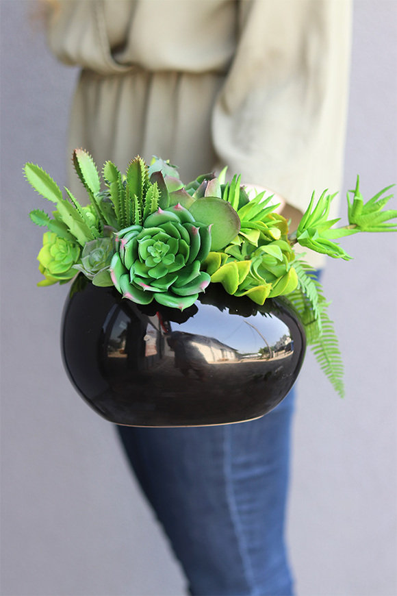 Black Jedita Manferdo, kompozycja sukulenty w donicy, wys.24cm