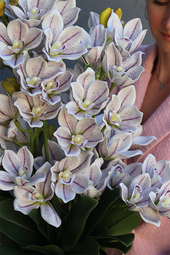 Jagodowe Cymbydium, storczyk w donicy klienta