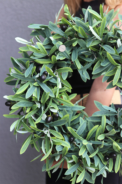 Zielony Dom, zielony wianek na drzwi z oliwkami