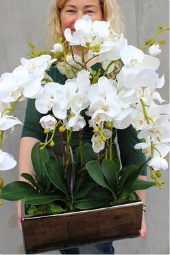 sztuczny storczyk Infinity w lustrzanej donicy, wys.70cm