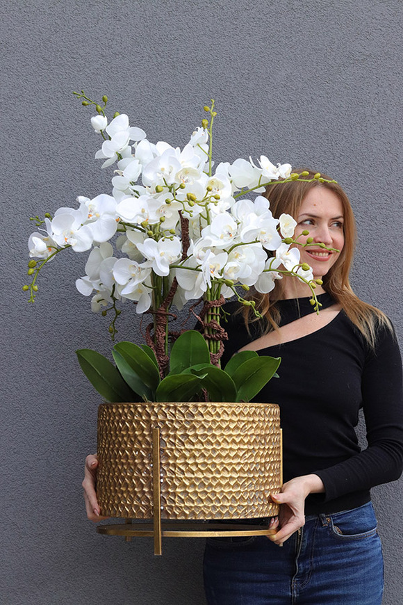 Goldenario Big 2, biały storczyk w złotej donicy